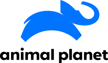 Channel 3 Thumbnail